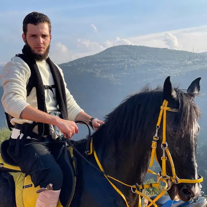Horse 3