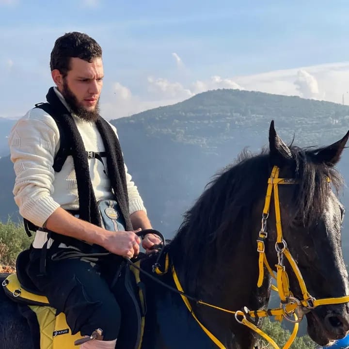 Horse 1